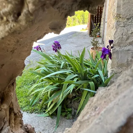 Apartmán Le Cocon Fluvial Fondamente